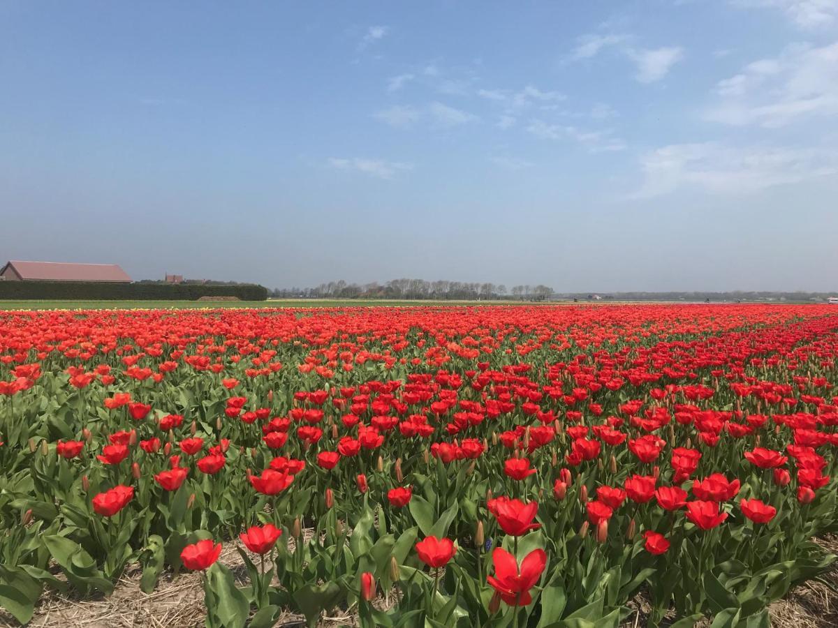 Vakantiehuis Achter De Duinen กัสตรีกุม ภายนอก รูปภาพ