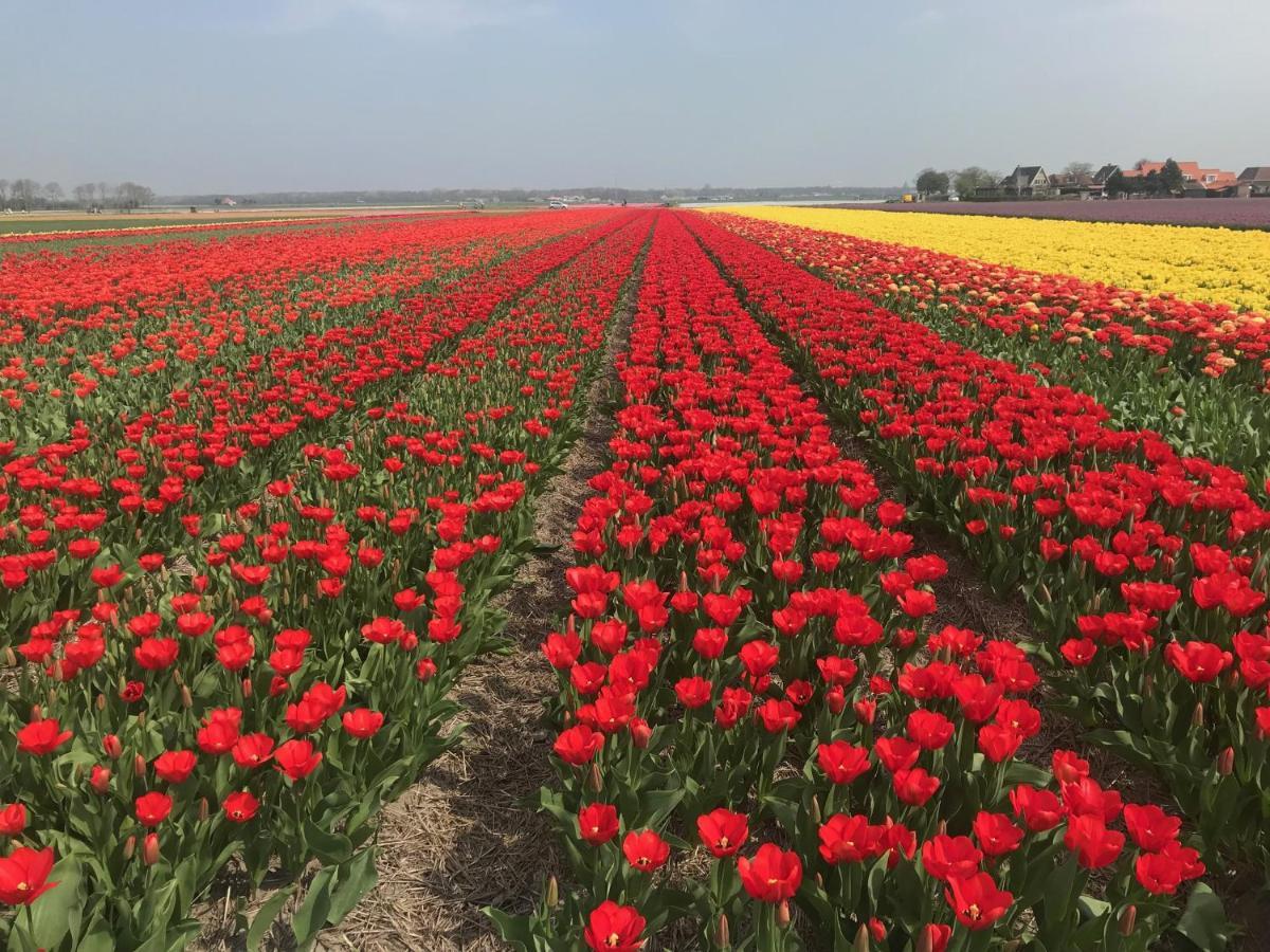Vakantiehuis Achter De Duinen กัสตรีกุม ภายนอก รูปภาพ